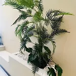 Anna 公寓 的里雅斯特